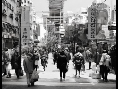 建材市场成为经济发展的新引擎